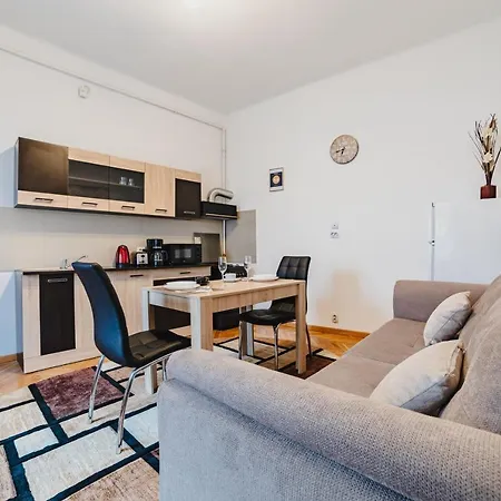 Apartment Old Lux Brasov