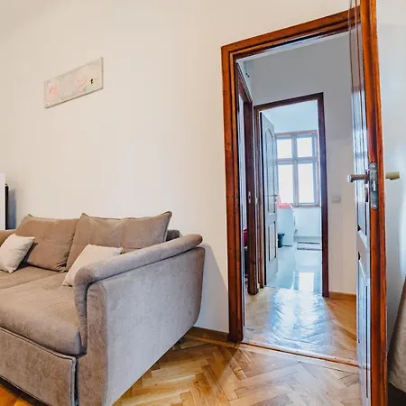 Old Lux Apartment Brasov