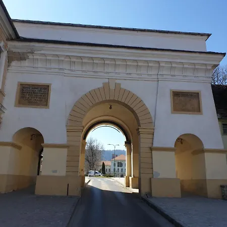 Old Lux Apartment Brasov